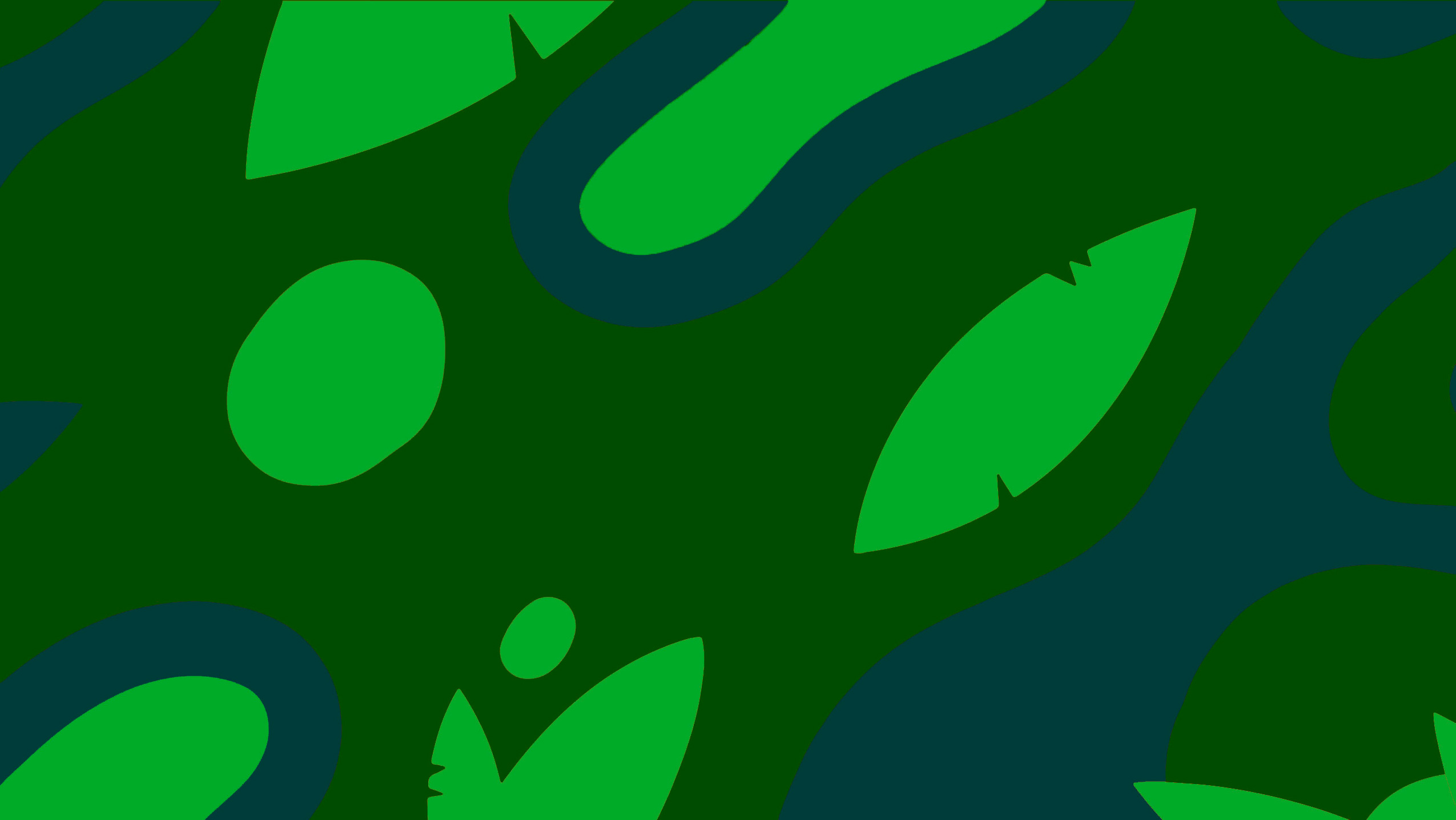 Caon_header_2