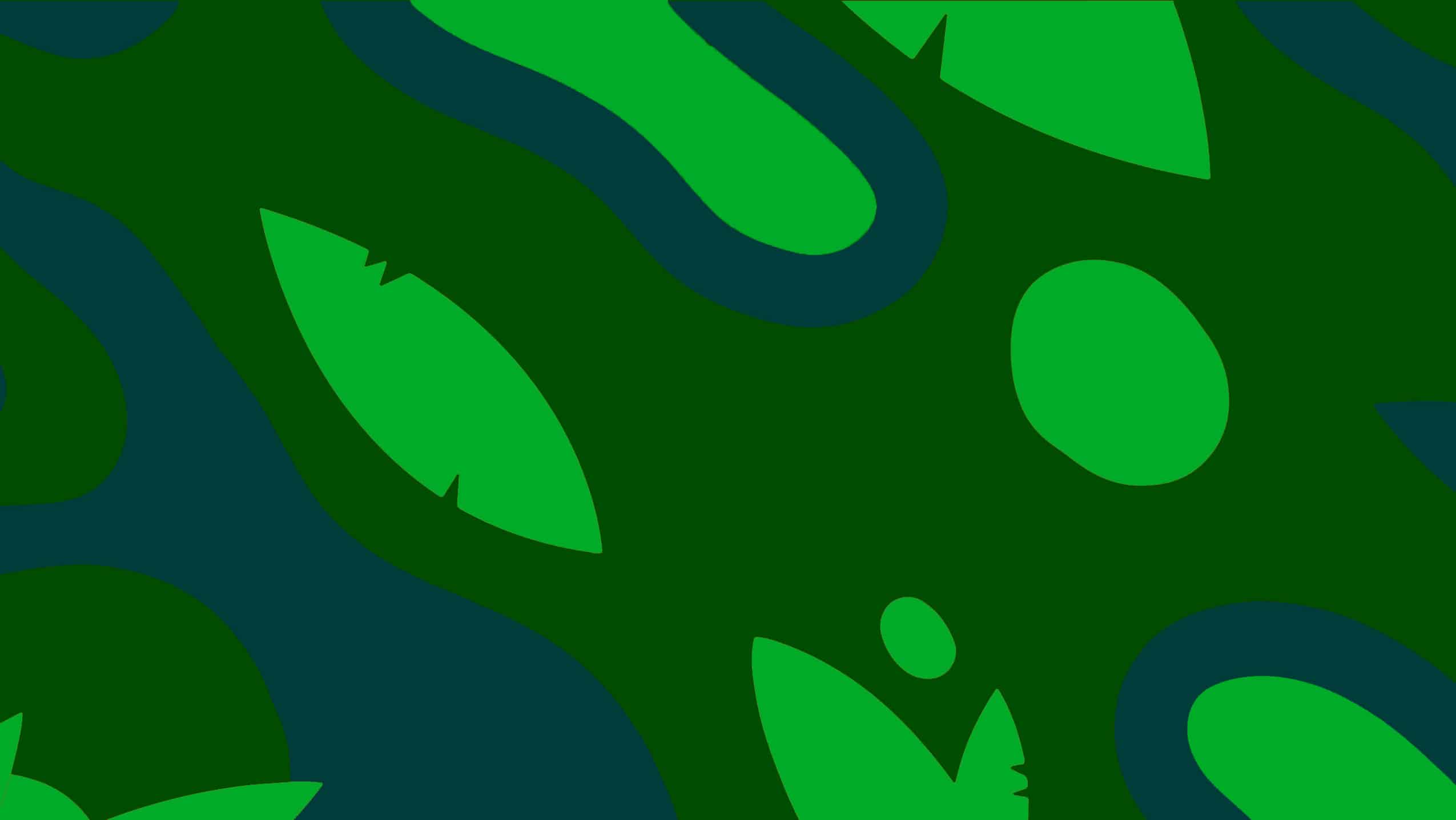 Caon_header_4